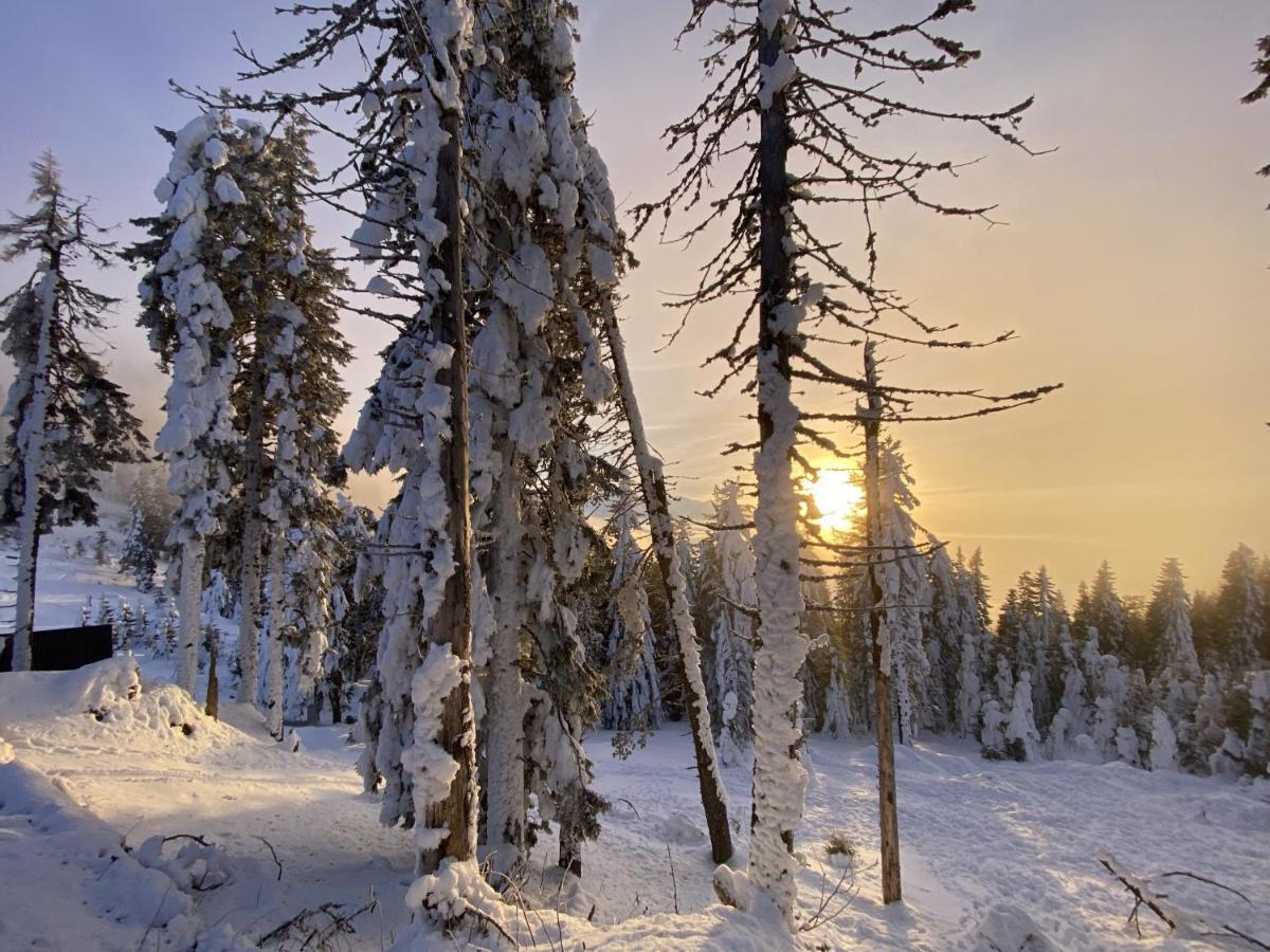 Yager Chalet Poiana Brasov Εξωτερικό φωτογραφία